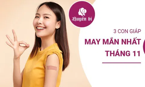 Tháng 11 âm lịch: 3 con giáp rực rỡ nhất, may mắn ngập tràn