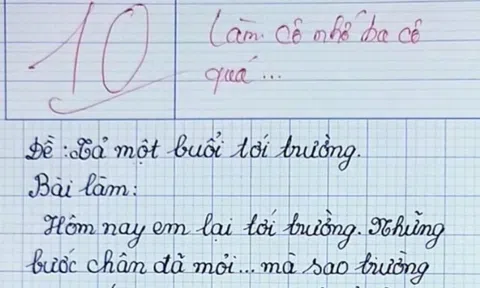 Bé tiểu học nhận điểm 10 bài văn tả cảnh đến trường, cô giáo mắt đỏ hoe ngay khi đọc những dòng viết đầu tiên